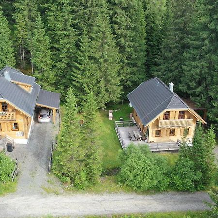 Almhaus & Almchalet Flattnitz 외부 사진