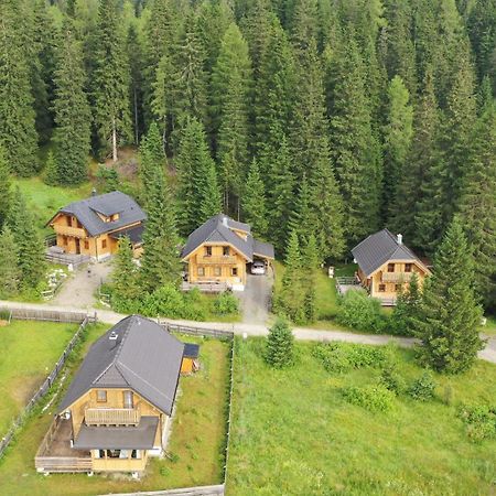 Almhaus & Almchalet Flattnitz 외부 사진