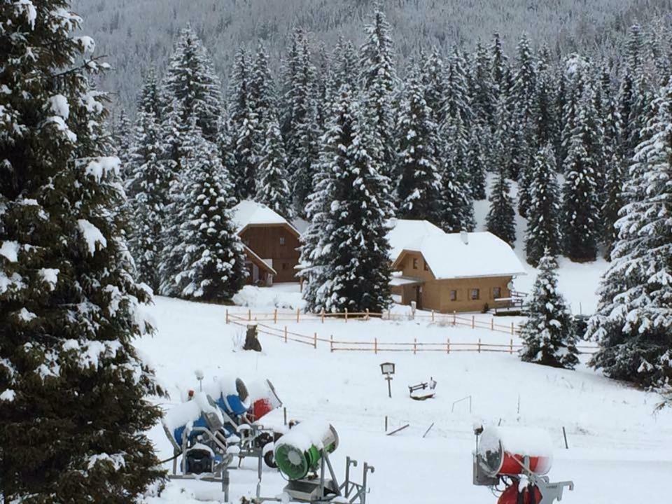 Almhaus & Almchalet Flattnitz 외부 사진
