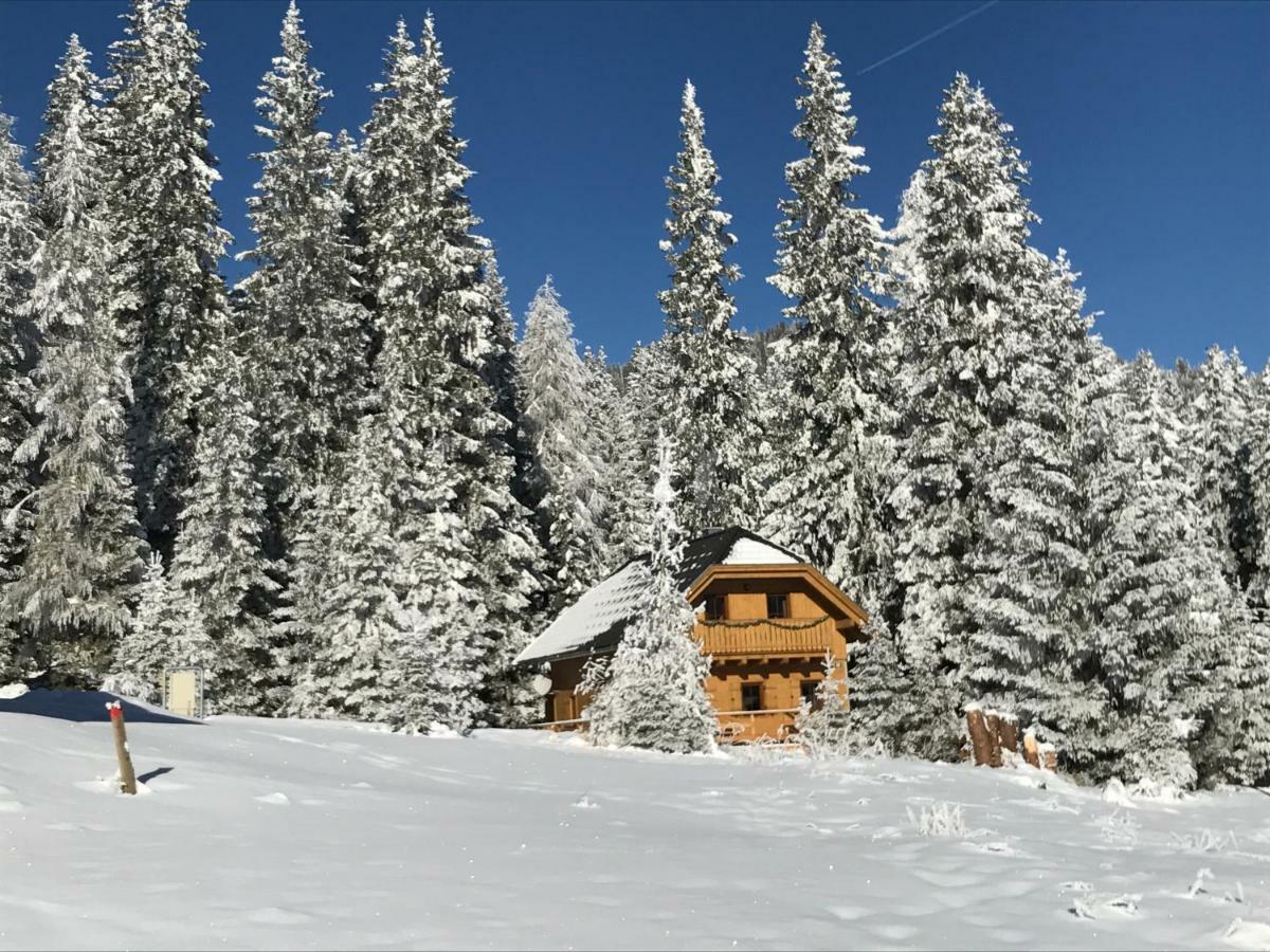 Almhaus & Almchalet Flattnitz 외부 사진